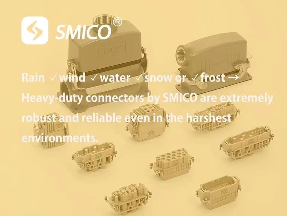 Développement rapide de SMICO pour répondre à la demande du marché national et étranger